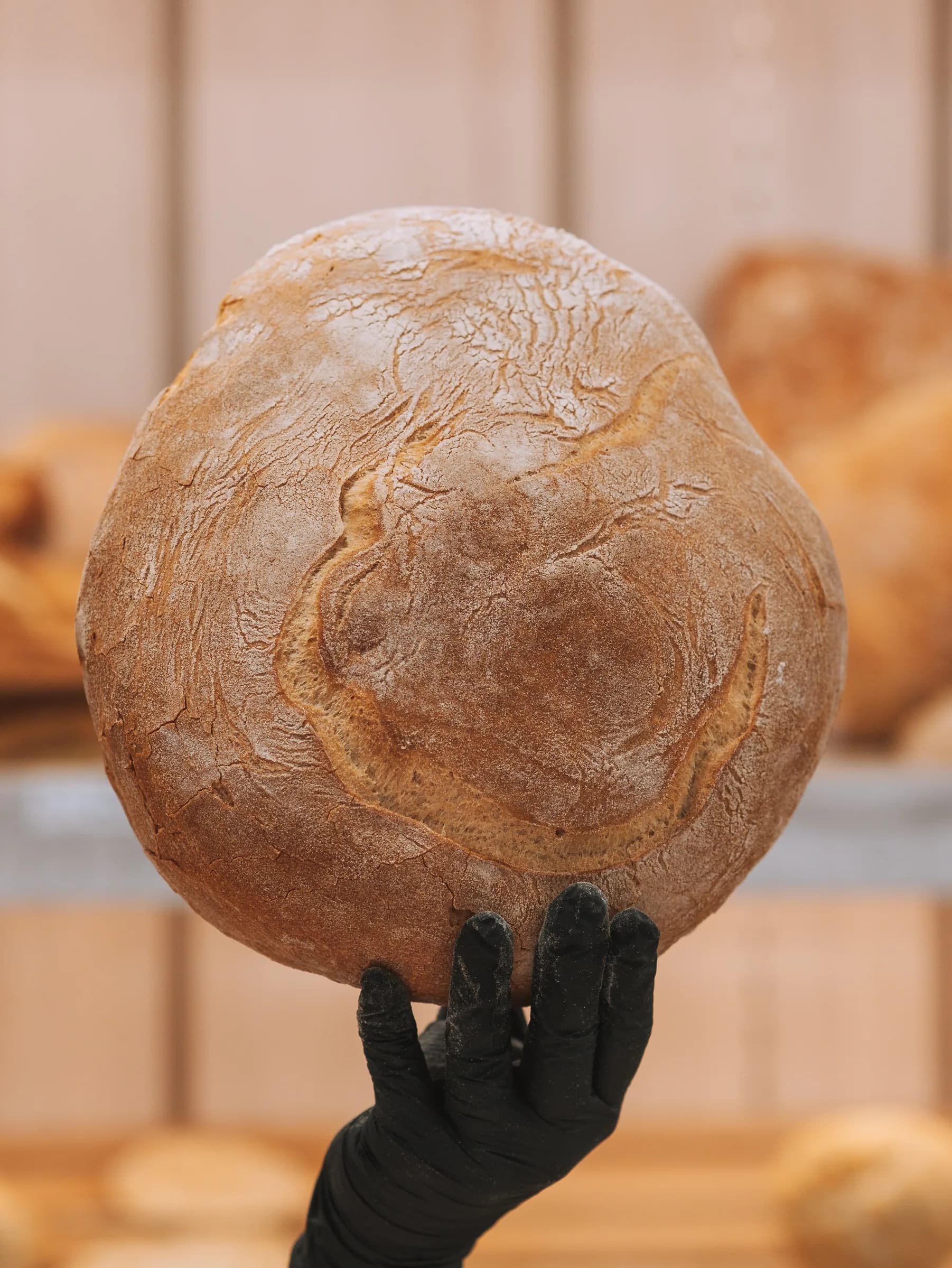 Pagnotta di pane casereccio a lievitazione naturale